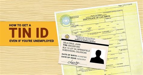 tin id assistance legit|How to Get a TIN ID Card from the BIR (2024 .
